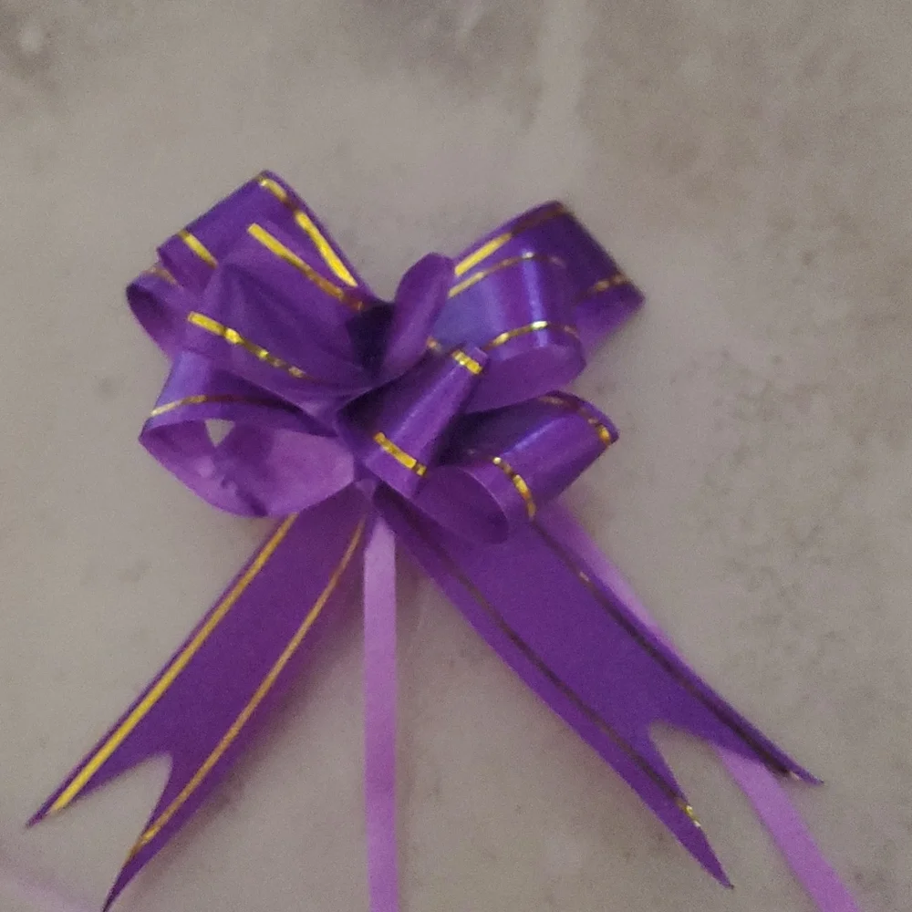 Purple Ribbon/Bow nwot